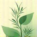 日本の健康とウェルネスに関するカテゴリ